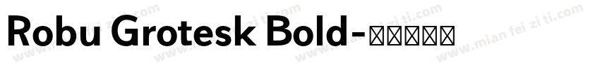 Robu Grotesk Bold字体转换